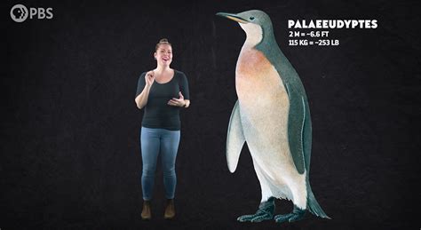 giant prehistoric penguins.